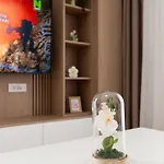 Soni Luxury 321 Plaza With Free Private Parking & Self Check-in