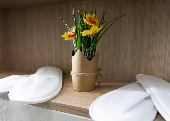 Soni Luxury 321 Plaza With Free Private Parking & Self Check-in Апартаменти *