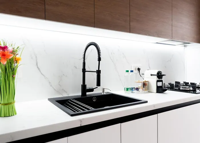 Soni Luxury 321 Plaza With Free Private Parking & Self Check-in ブカレスト