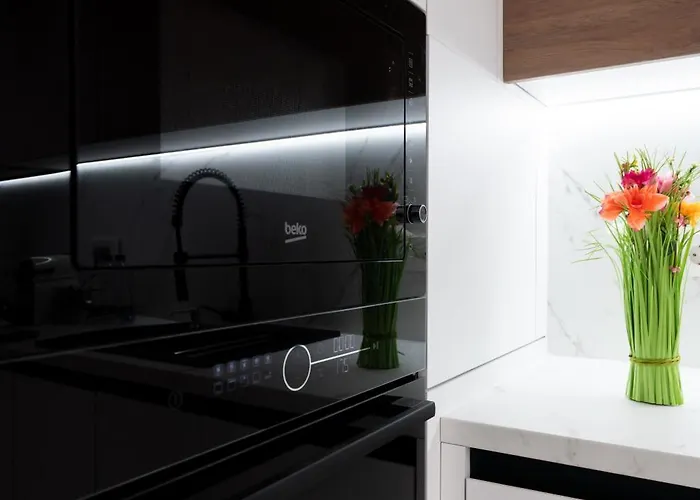 Soni Luxury 321 Plaza With Free Private Parking & Self Check-in