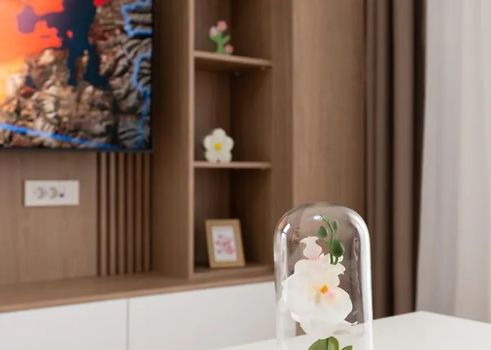 Soni Luxury 321 Plaza With Free Private Parking & Self Check-in